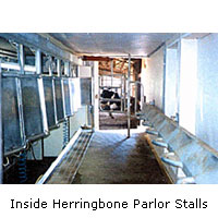 Herringbone Parlor