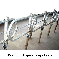 Parallel Swquencing Gates